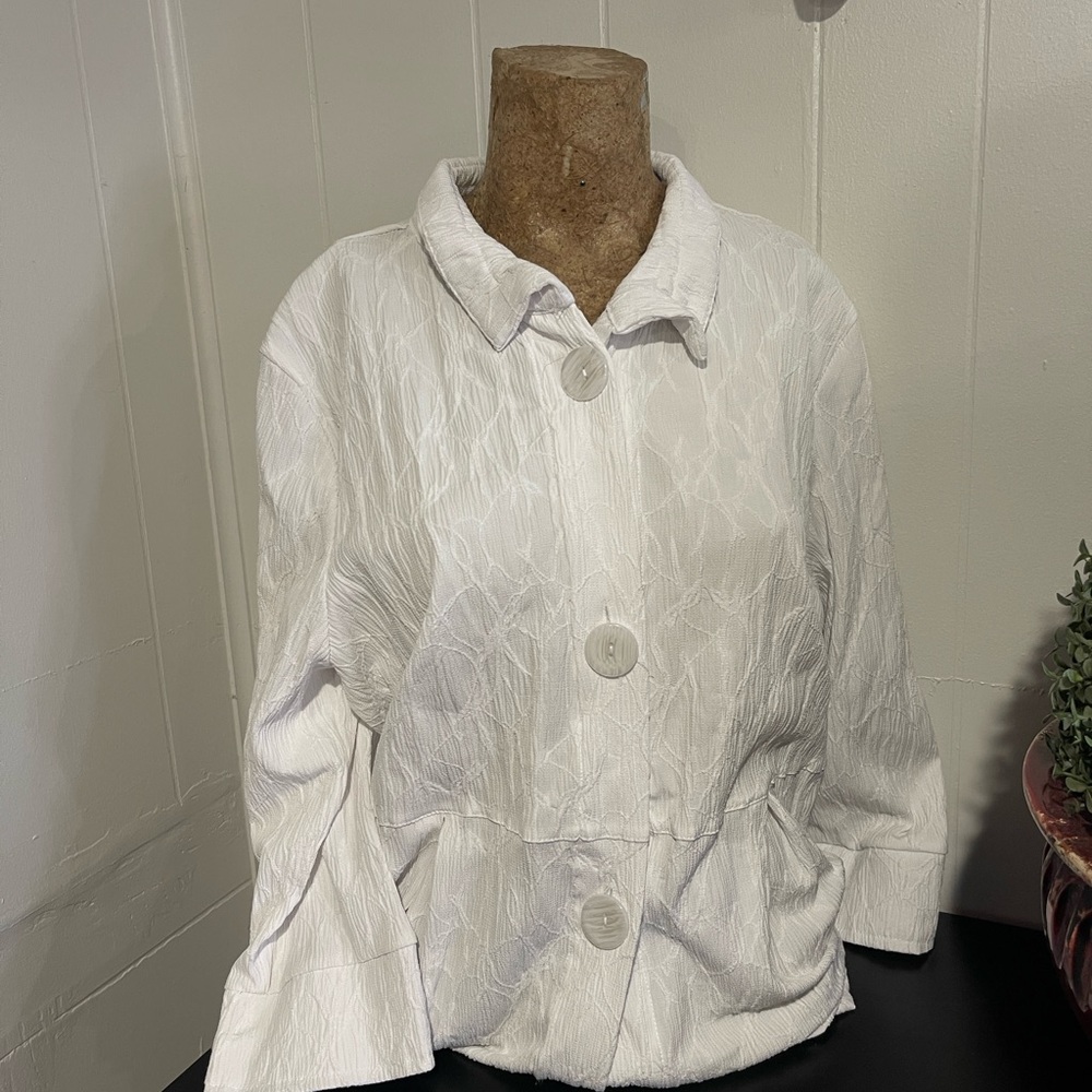 Peck & Peck Off-White Textured Blouse